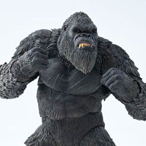 Kong