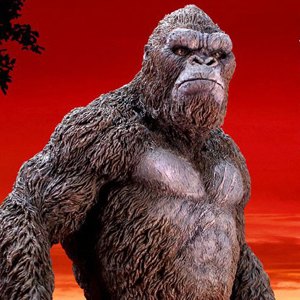Kong