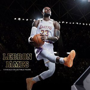 LeBron James (LA Lakers)