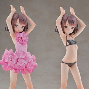 Llenn Light Novel Dress & Swimsuit