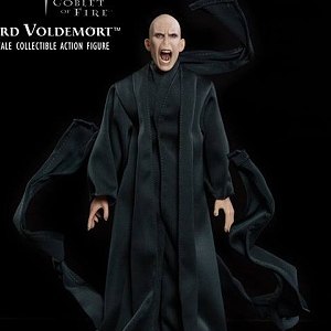 Lord Voldemort Flash