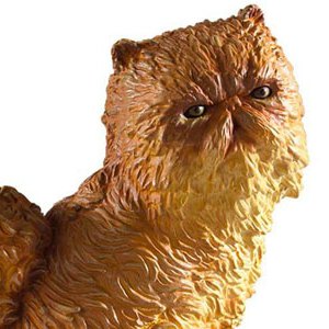Magical Creatures Crookshanks