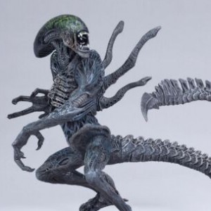 Grid Alien 12-inch (studio)