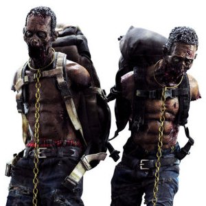 Michonne's Pet Walker Twin Pack