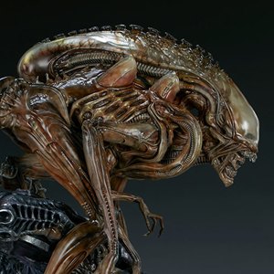 Mythos Alien Warrior (Sideshow)