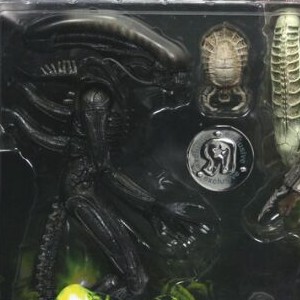 Alien And Predator (produkce)