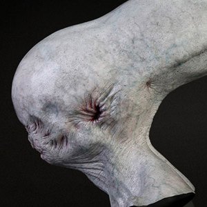 Neomorph Head