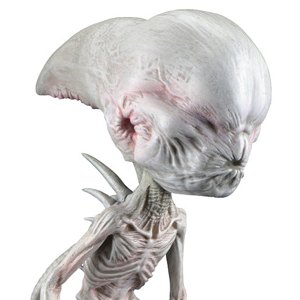 Neomorph Head Knocker