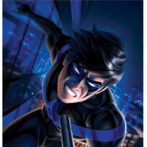 Nightwing Art Print (Warren Louw)