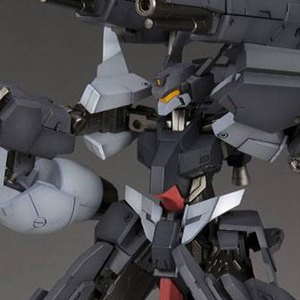 NSG-25y STRAUSS