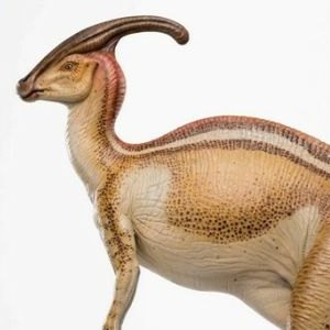 Parasaurolophus