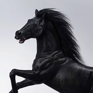 Pegasus Meteor Horse Black