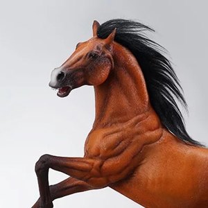 Pegasus Meteor Horse Chestnut