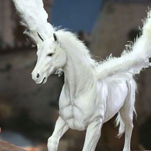 Pegasus (Ray Harryhausen's 100th Anni)