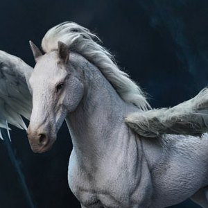Pegasus War Horse