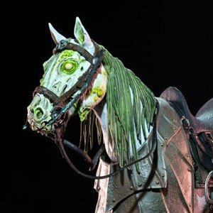 Phlogeus