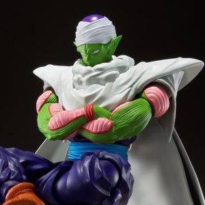 Piccolo Proud Namekian