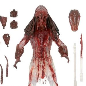 Predator Feral Bear Blood Ultimate