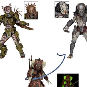 Predator Series 16