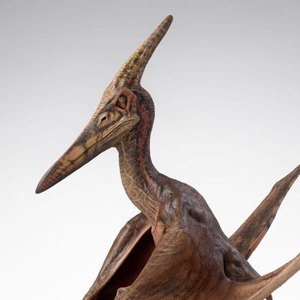 Pteranodon