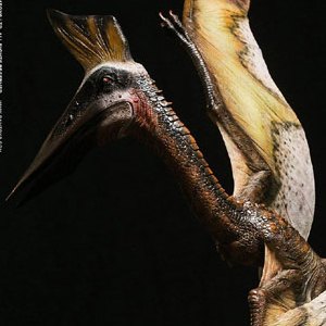 Quetzalcoatlus Yellow