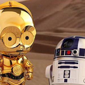 R2-D2 And C-3PO Cosbaby