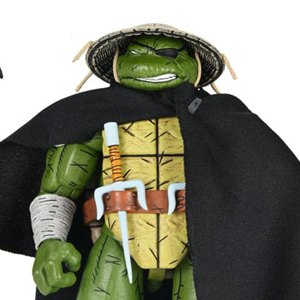 Raphael Old Man