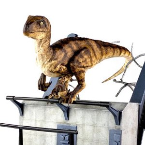 Raptor Breakout