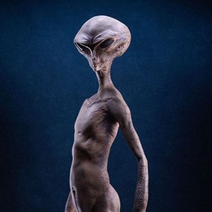 Reptilian Grey (Steve Wang)