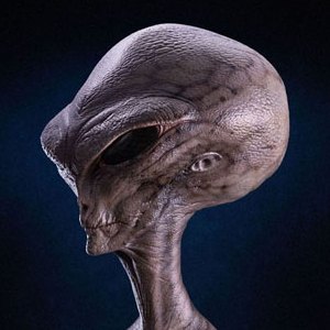 Reptilian Grey (Steve Wang)