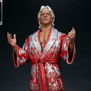 Ric Flair (Pop Culture Shock)