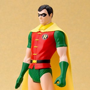 Robin Classic Costume