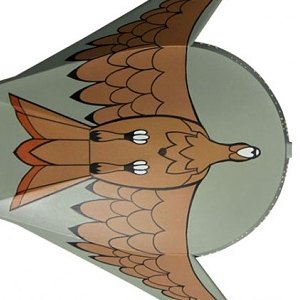 Romulan Bird Of Prey