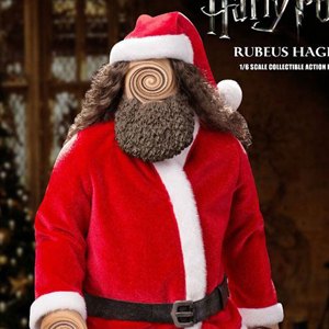 Rubeus Hagrid XMAS Costume