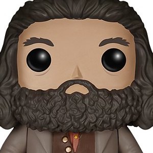 Rubeus Hagrid Pop! Vinyl