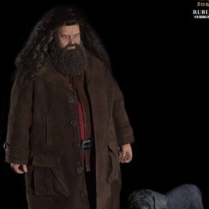 Rubeus Hagrid Deluxe