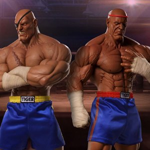 Sagat Evolution Set (Pop Culture Shock)