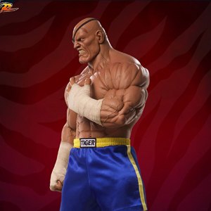 Sagat (Pop Culture Shock)