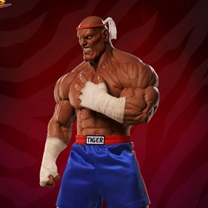 Sagat Victory (Pop Culture Shock)
