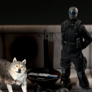 Snake-Eyes And Timber (studio)
