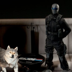 Snake-Eyes And Timber (Sideshow) (studio)