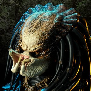 Predator (studio)