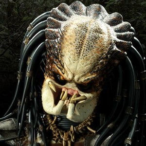 Predator (Sideshow) (studio)