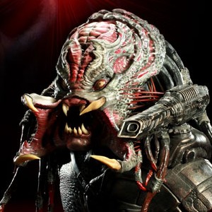 Berserker Predator (studio)