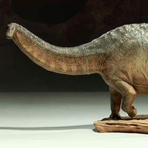 Apatosaurus (studio)