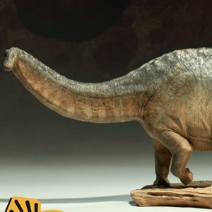 Apatosaurus (Sideshow) (studio)