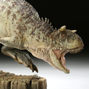 Carnotaurus (Sideshow) (studio)