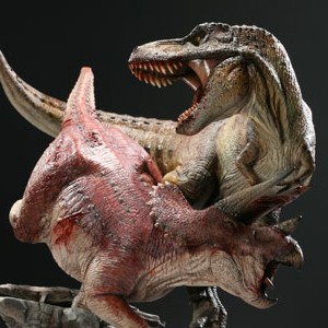 Tyrannosaurus Rex Vs. Triceratops (studio)