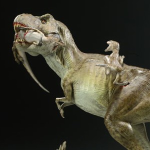 T-Rex Vs. Velociraptors