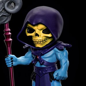 Skeletor Mini Co